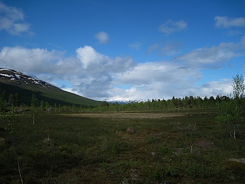 Abisko Juni 2009 dag 3 - 18.jpg